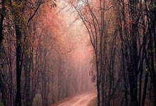 爱游戏:游泳世界杯新加坡站首日 中国队获1金2银1铜新华网.