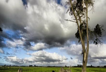 爱游戏:最新战报!4-3,世界冠军冲赛点,80后名将告急.