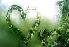 爱游戏:和格林伍德一起踢球?沃德尔:马赛或许适合博格巴,继续意甲也行.